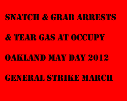 link - snatch_and_grab_and_tear_gas_at_occupy_Oakland_May_day_2012_general_strike_march